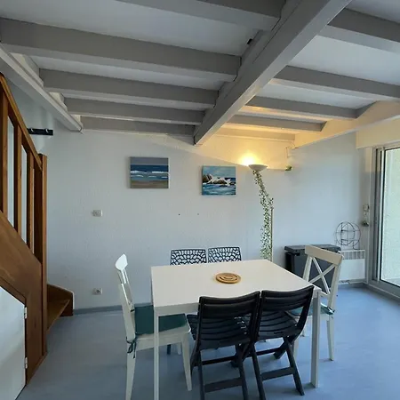 Apartmán T2 Mezzanine - Animaux Admis - Fr-1-379-131 *